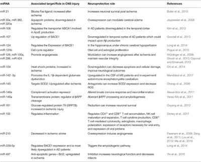 Hypoxia in CNS Pathologies: Emerging Role of miRNA-Based Neurotherapeutics and Yoga Based Alternative Therapies